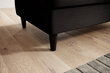 Tumba Bellis, 97x62x42 cm, must hind ja info | Kott-toolid, tumbad, järid | kaup24.ee