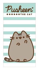 Rätik Pusheen hind ja info | Rätikud, saunalinad | kaup24.ee