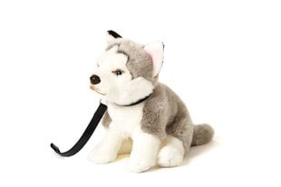 Pehme mänguasi koer Husky hall, 24 cm (kõrgus) цена и информация | Мягкие игрушки | kaup24.ee