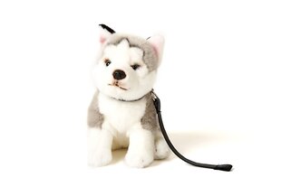 Плюшевая собачка Хаски серая,сидит на поводке 24см (высота) цена и информация | Мягкие игрушки | kaup24.ee