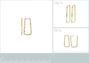 Серьги с золотым покрытием 750°, произведено во Франции цена и информация | Серьги | kaup24.ee