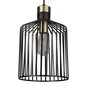 Searchlight rippvalgusti Bird Cage 9413BK цена и информация | Rippvalgustid | kaup24.ee