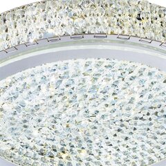 Searchlight laelamp Florida LED 2714CC цена и информация | Потолочные светильники | kaup24.ee