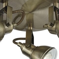 Searchlight Потолочный светильник прожектор Focus 1543AB цена и информация | Потолочные светильники | kaup24.ee