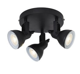 Searchlight Потолочный светильник прожектор Focus 1543BK цена и информация | Потолочные светильники | kaup24.ee