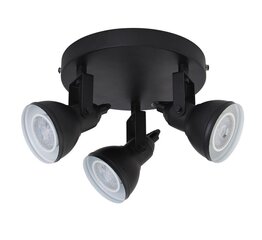 Searchlight laelamp, koht Focus 1543BK цена и информация | Потолочные светильники | kaup24.ee