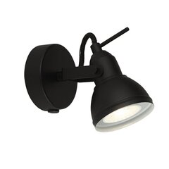 Searchlight Настенный светильник Focus 1541BK цена и информация | Настенные светильники | kaup24.ee