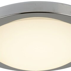 Searchlight laelamp Geneva LED 8702SS цена и информация | Потолочные светильники | kaup24.ee