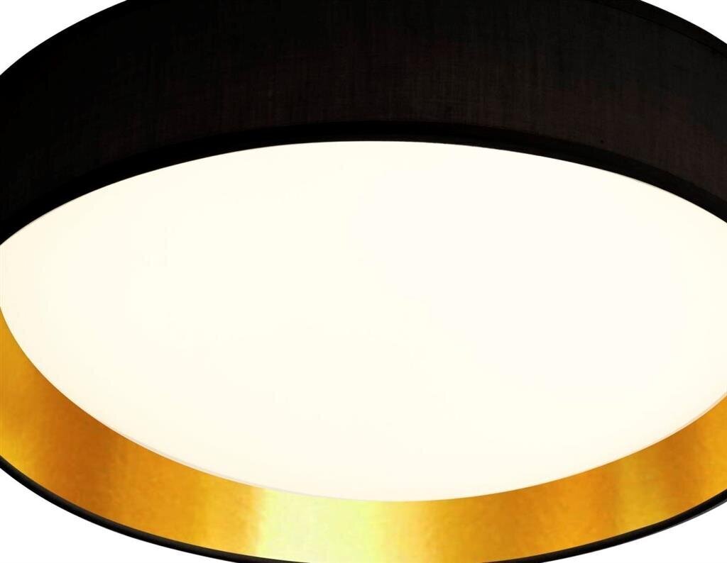 Searchlight laelamp Gianna LED 9371-50BGO hind ja info | Laelambid | kaup24.ee