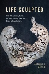 Life Sculpted: Tales of the Animals, Plants, and Fungi That Drill, Break, and Scrape to Shape the Earth 1 цена и информация | Книги по социальным наукам | kaup24.ee