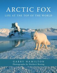 Arctic Fox: Life at the Top of the World цена и информация | Книги о питании и здоровом образе жизни | kaup24.ee