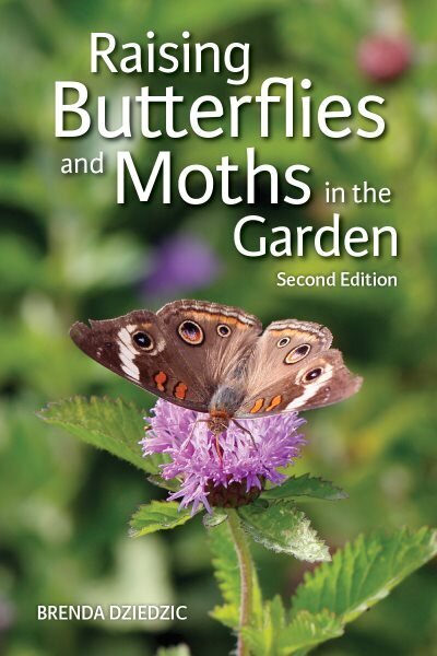 Raising Butterflies and Moths in the Garden 2nd edition цена и информация | Tervislik eluviis ja toitumine | kaup24.ee