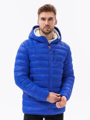 Куртка мужчины стеганая с капюшоном Омбре C549 синий цена и информация | Мужские куртки | kaup24.ee