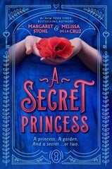 Secret Princess цена и информация | Книги для подростков и молодежи | kaup24.ee