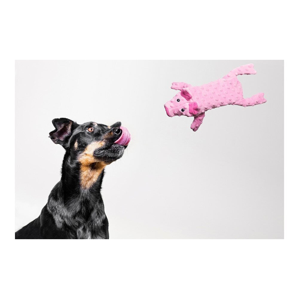 Koera mänguasi Gloria Dogmonsters Roosa Siga hind ja info | Mänguasjad koertele | kaup24.ee