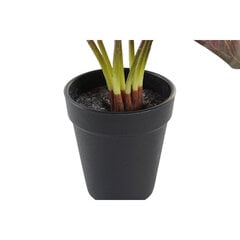 Декоративное растение DKD Home Decor тростник (45 x 45 x 150 cm) цена и информация | Искусственные цветы | kaup24.ee