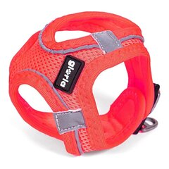 Упряжь для собак Gloria Air Mesh Trek Star Регулируемый Розовый Размер XXXS (18-20 cm) цена и информация | Ошейники, подтяжки для собак | kaup24.ee