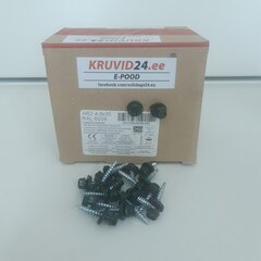 Katusekruvi AR2 4.8x35mm RAL 6009, 250tk цена и информация | Инструменты крепления | kaup24.ee