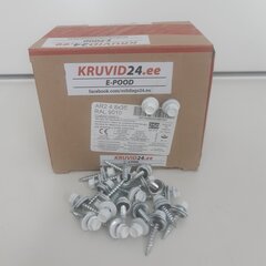 Katusekruvi AR2 4.8x35mm RAL 9010, 250tk цена и информация | Инструменты крепления | kaup24.ee