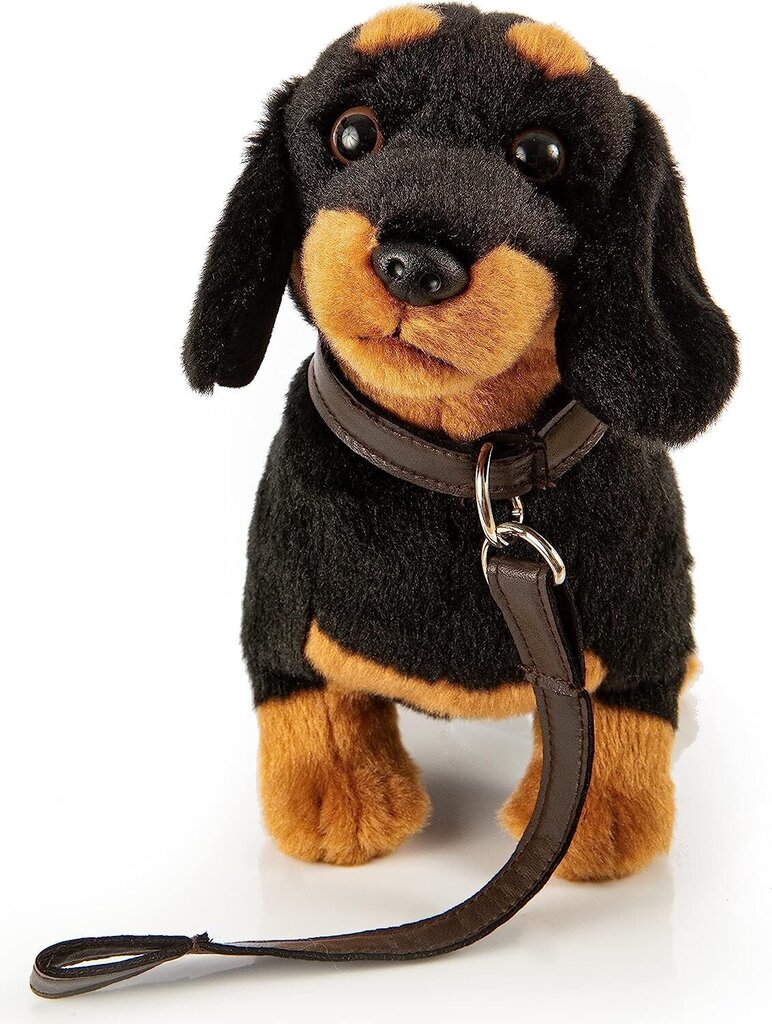 Palus koer taks jalutusrihmaga, 28cm hind ja info | Pehmed mänguasjad | kaup24.ee