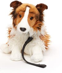 Palus koer Collie jalutusrihmaga, 25 cm hind ja info | Pehmed mänguasjad | kaup24.ee