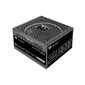 Toiteplokk Thermaltake Ps-Tpd-1000Fnfage-1 1000 W hind ja info | Toiteplokid (PSU) | kaup24.ee