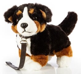 Плюшевая собака Бернский зенненхунд на поводке, 23 см цена и информация | Мягкие игрушки | kaup24.ee