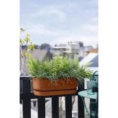 Банка Elho Greenville Easy 21 x 52 x 19,5 cm Коричневый цена и информация | Вазоны | kaup24.ee