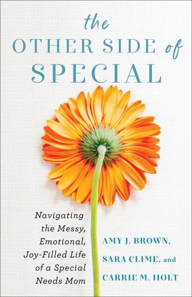 The Other Side of Special - Navigating the Messy, Emotional, Joy-Filled Life of a Special Needs Mom цена и информация | Usukirjandus, religioossed raamatud | kaup24.ee