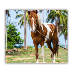 Tulup Lõikelaud, Pinto hobune, 60x52 cm hind ja info | Lõikelauad | kaup24.ee