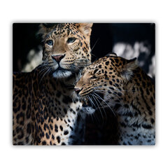 Tulup Lõikelaud, Kaks leopardi, 60x52 cm hind ja info | Lõikelauad | kaup24.ee