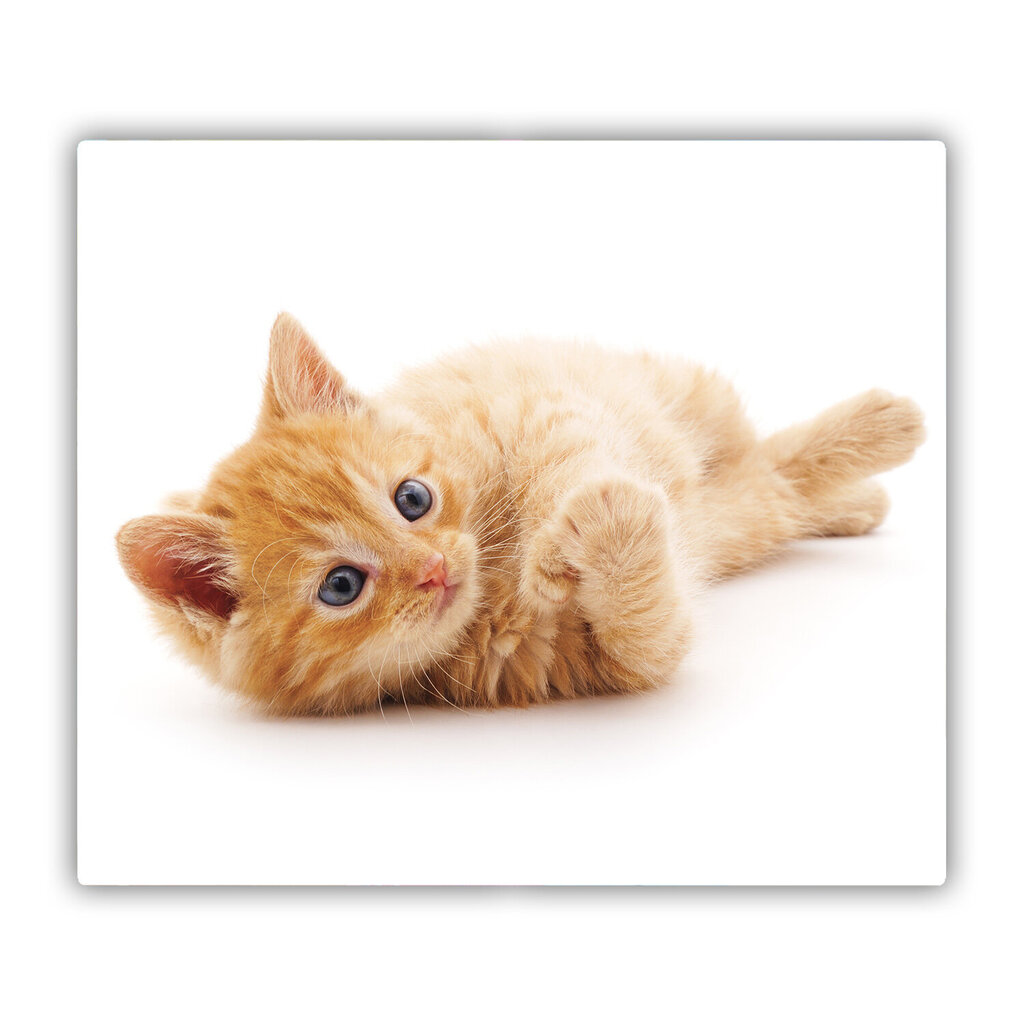 Tulup Lõikelaud Punane kass, 60x52 cm hind ja info | Lõikelauad | kaup24.ee