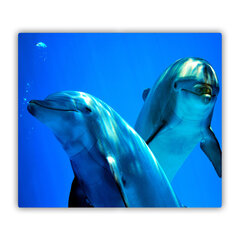 Tulup Lõikelaud Kaks delfiini, 60x52 cm hind ja info | Lõikelauad | kaup24.ee