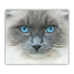 Tulup Lõikelaud Kassi sinised silmad, 60x52 cm hind ja info | Lõikelauad | kaup24.ee