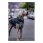 Koera mantel Red Dingo Puffer Must/Hall 55 cm hind ja info | Riided koertele | kaup24.ee