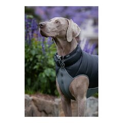 Пальто для собак Red Dingo Puffer Черный/Серый 55 cm цена и информация | Одежда для собак | kaup24.ee