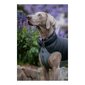 Koera mantel Red Dingo Puffer 50 cm Must/Hall hind ja info | Riided koertele | kaup24.ee