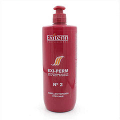 Постоянная краска Exitenn Exi-perm 2 (500 ml) цена и информация | Средства для укладки волос | kaup24.ee