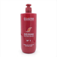 Постоянная краска Exitenn Exi-perm 1 (500 ml) цена и информация | Средства для укладки волос | kaup24.ee