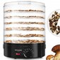 Toidukuivati Mozano Food Dehydrator 500W цена и информация | Toidukuivatid | kaup24.ee