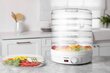 Toidukuivati Mozano Food Dehydrator 500W цена и информация | Toidukuivatid | kaup24.ee