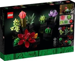 LEGO Icons Суккуленты 10309 цена и информация | Конструкторы и кубики | kaup24.ee