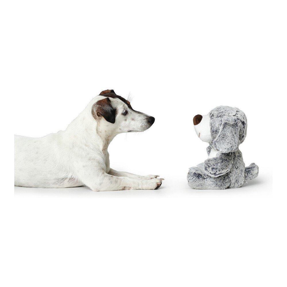 Koera mänguasi Hunter Faro Hall Koer hind ja info | Mänguasjad koertele | kaup24.ee