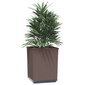 vidaXL taimekastid 2 tk, pruun, 30 x 30 x 37 cm, polüpropüleen hind ja info | Lillekastid | kaup24.ee