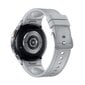 Samsung Galaxy Watch6 Classic 43mm BT Silver SM-R950NZSAEUE цена и информация | Nutikellad (smartwatch) | kaup24.ee