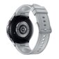 Samsung Galaxy Watch6 Classic 47mm BT Silver SM-R960NZSAEUE цена и информация | Nutikellad (smartwatch) | kaup24.ee