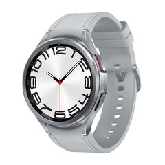 Samsung Galaxy Watch6 Classic 47mm BT Silver SM-R960NZSAEUE цена и информация | Смарт-часы (smartwatch) | kaup24.ee