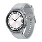Samsung Galaxy Watch6 Classic 47mm BT Silver SM-R960NZSAEUE цена и информация | Nutikellad (smartwatch) | kaup24.ee