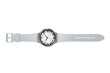 Samsung Galaxy Watch6 Classic 47mm BT Silver SM-R960NZSAEUE цена и информация | Nutikellad (smartwatch) | kaup24.ee
