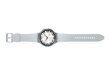 Samsung Galaxy Watch6 Classic 47mm LTE Silver SM-R965FZSAEUE цена и информация | Nutikellad (smartwatch) | kaup24.ee